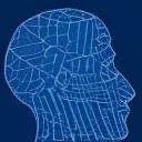 Human Insight Icon
